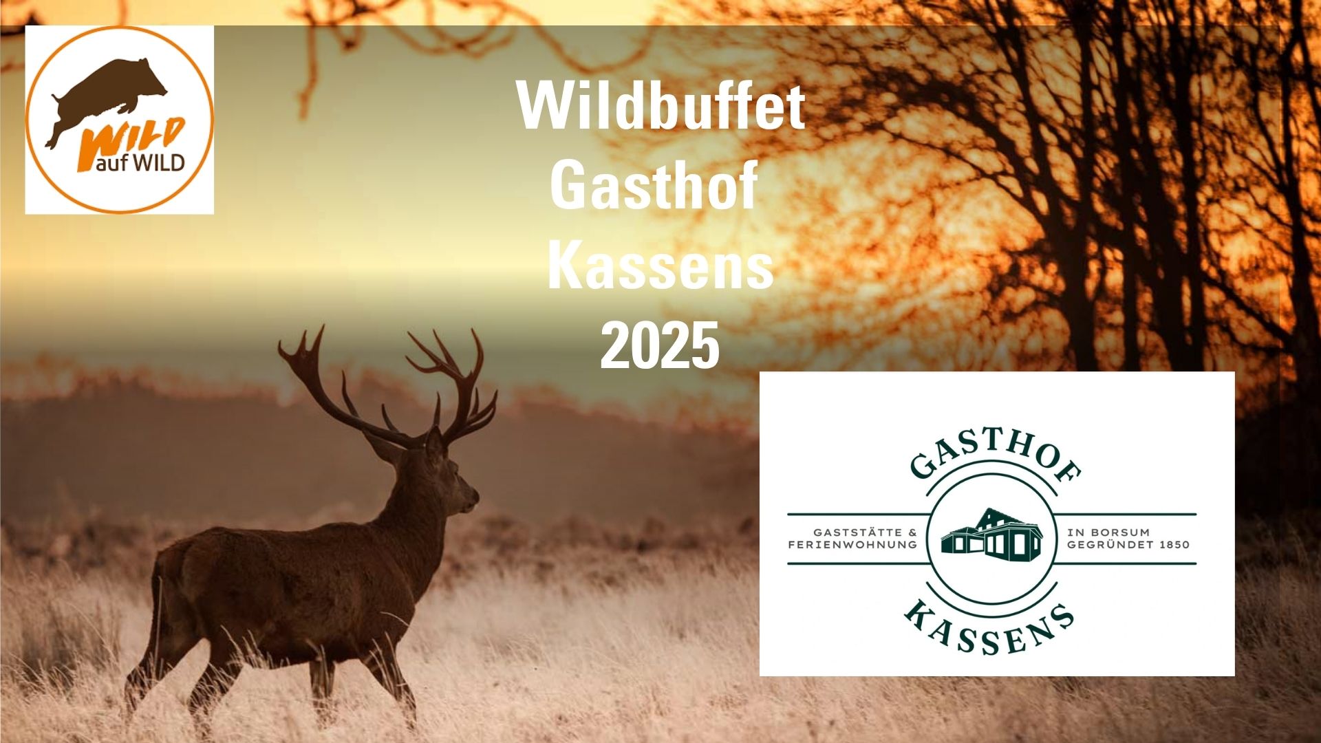 Wildbuffet Wildbuffet